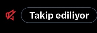 1312ugurkan tweet media