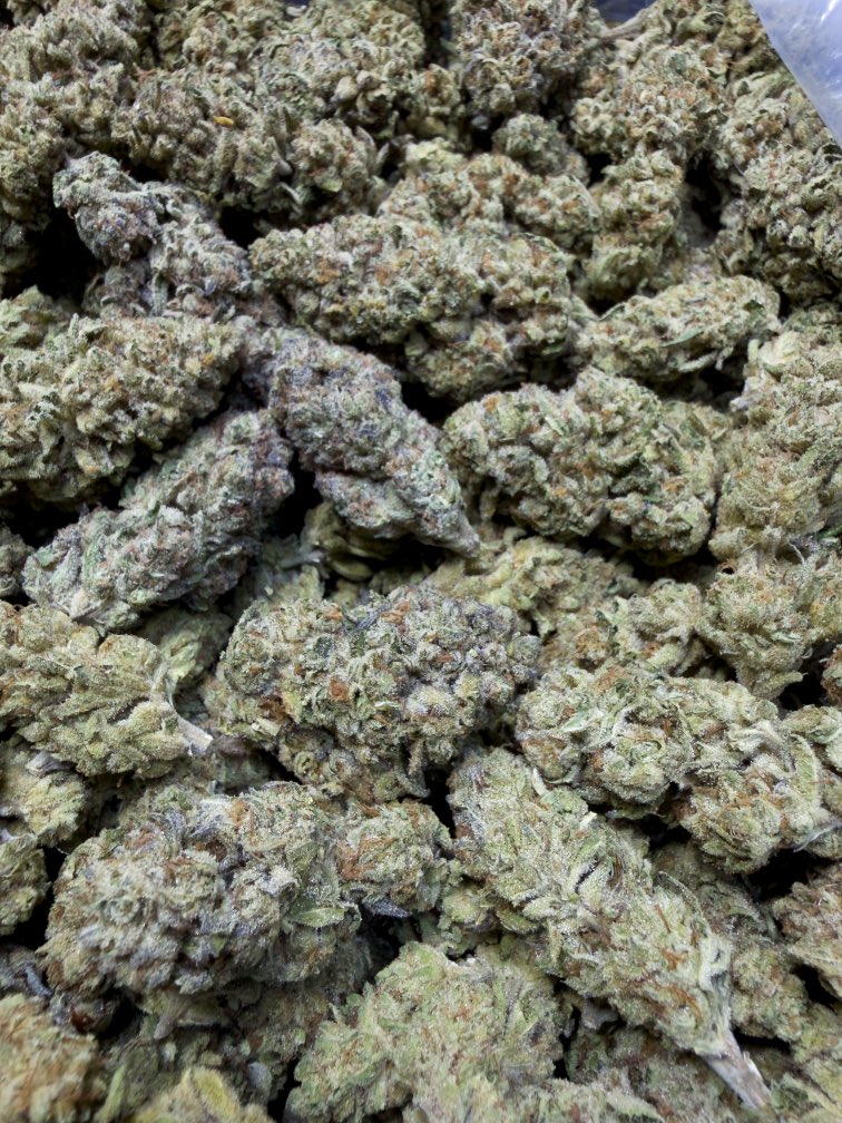 Emerald Grown Exotics tweet media
