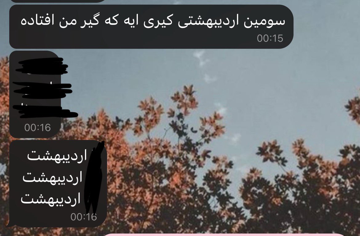 ثنا🌒 tweet media