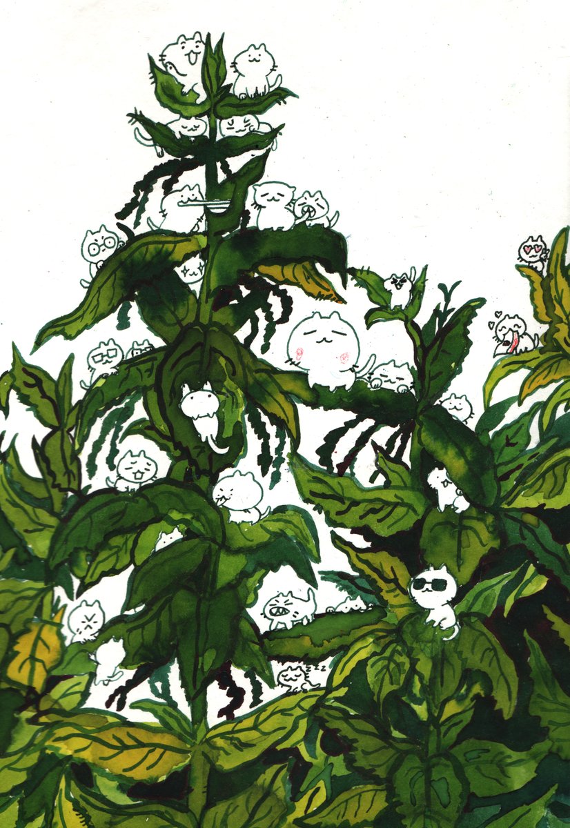 hannahlock's tweet photo. Which nettlecat are you? 🌿🐈 https://t.co/WnGZ2gVDnU