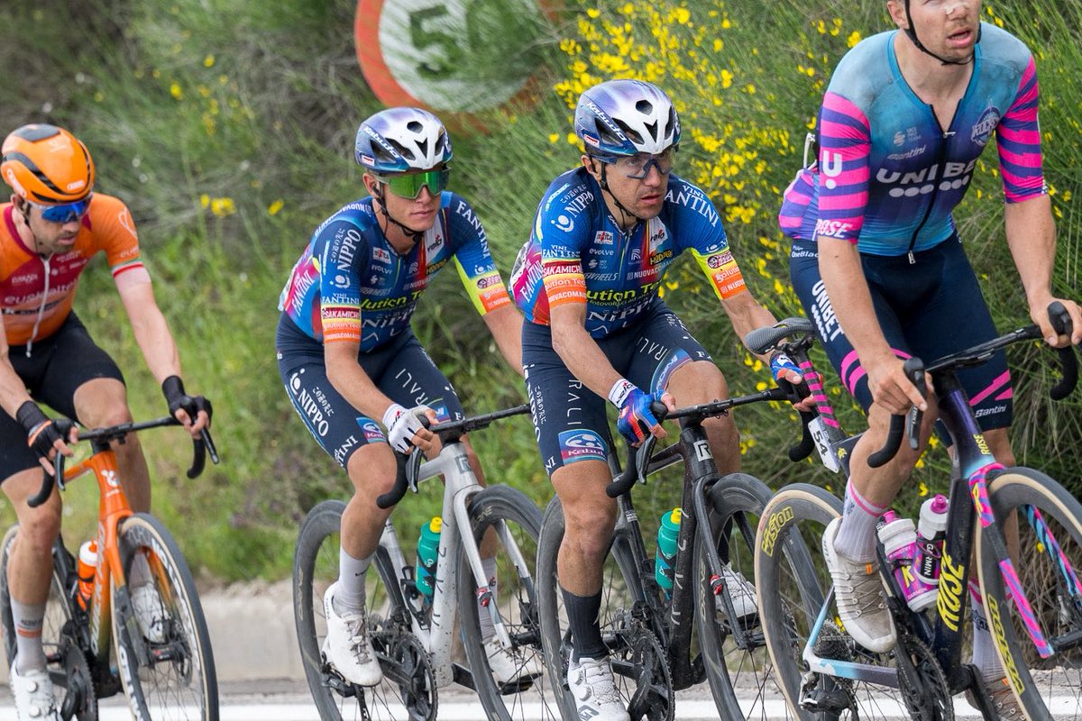 Team Solution Tech - NIPPO - Rali tweet media