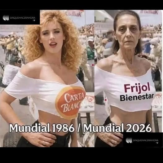 Eugenia Lara #MexicoNoEstaConlaDictadura (@eugenialarag1) on Twitter photo 