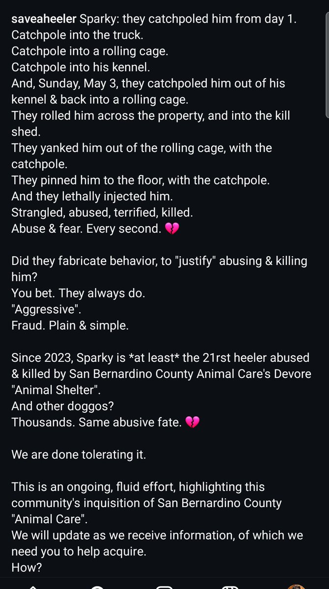 8415_n's tweet photo. Interesting news story by one of UK's largest newspapers.
#Devore named him Sparky. They catchpoled, strangled, & abused him from day 1.
Then they labeled him "aggressive" for being frightened of being hurt again.
Then they catchpoled him again, pinned him down & killed him. https://t.co/rTt3yIHqOX