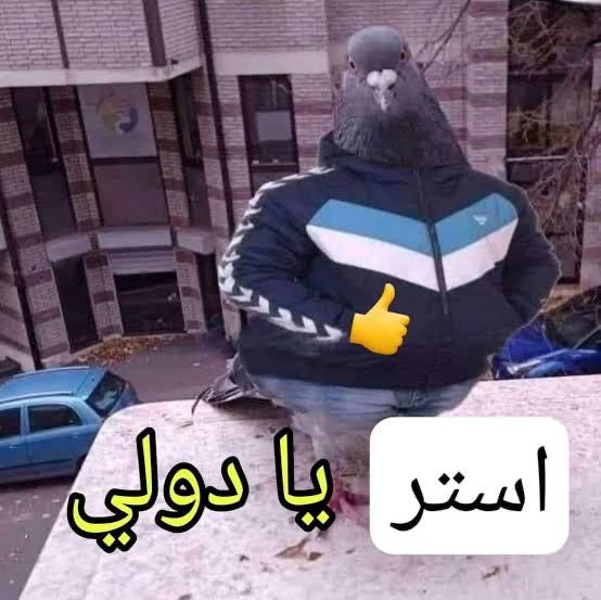 لُجّة ☪︎ tweet media