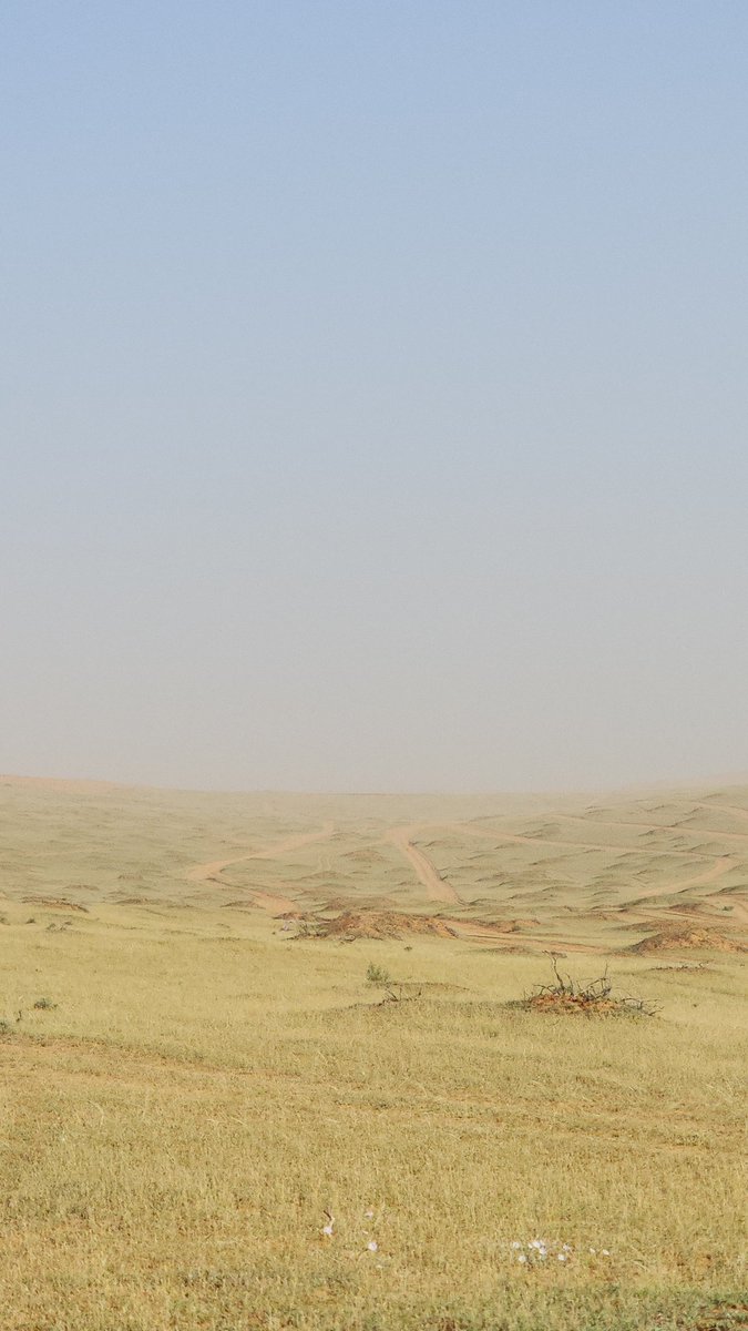 أبونايف الوهبي tweet media