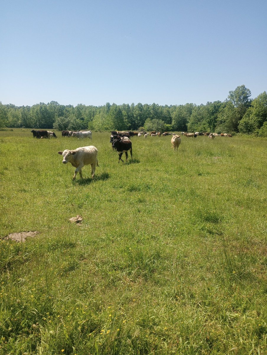 Farm Boy tweet media
