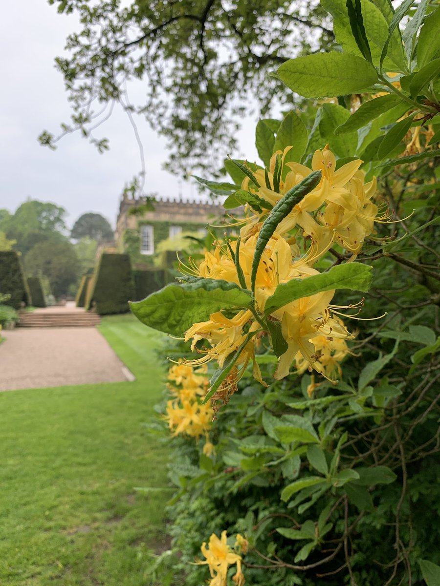 ValeriyaSalt's tweet photo. Spring time in Renishaw Gardens @RenishawHallG 🌺🌺💕 #gardeningX #SpringVibe https://t.co/sw0YNxG98U