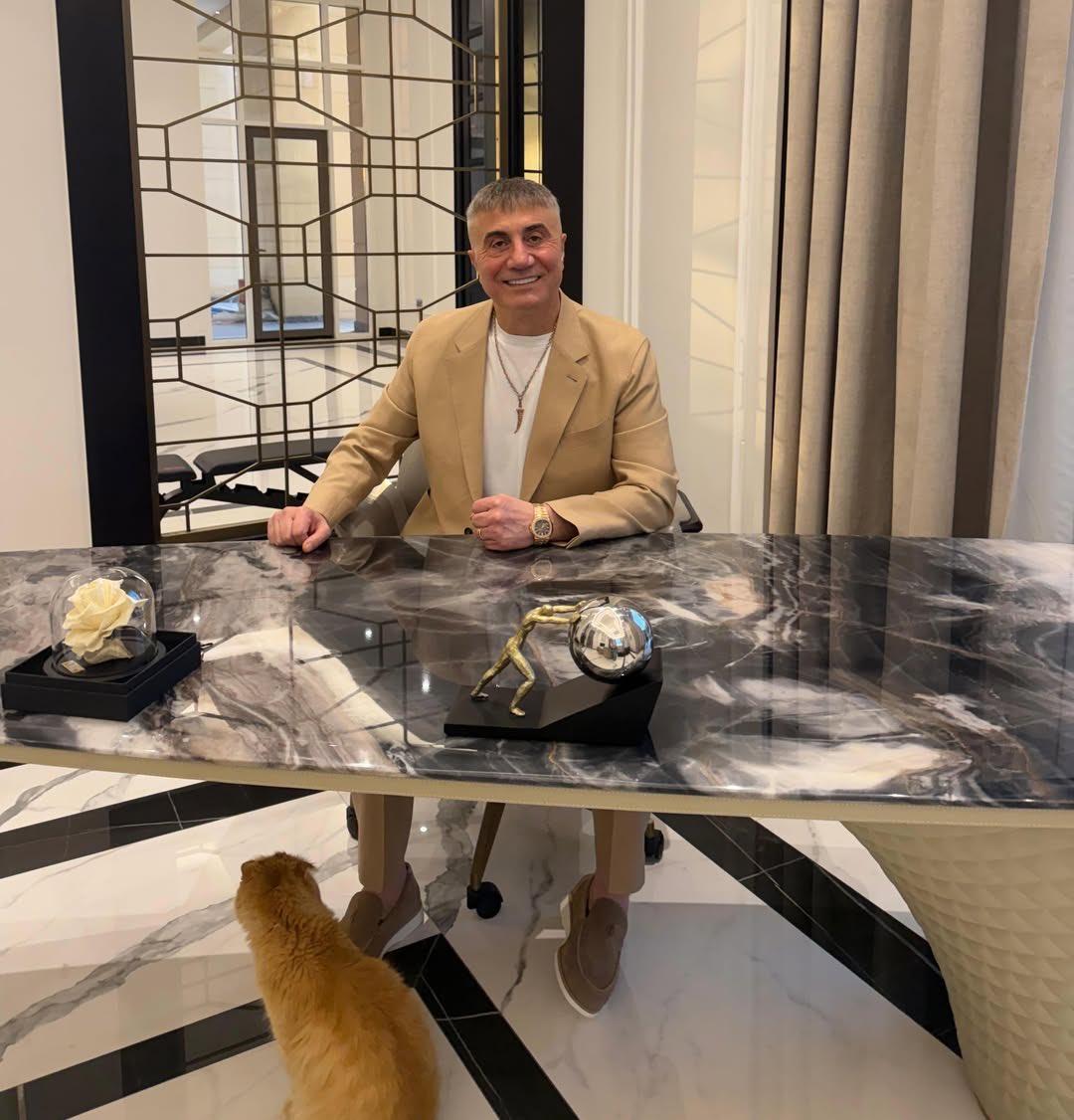“Yüzüme kapanan tüm kapılara, binayı satın almak için geri döneceğim…”