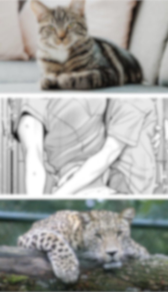MalikDa00763245's tweet photo. 後先考えなかった結果

1/6 SFW https://t.co/wWq7mp99hY