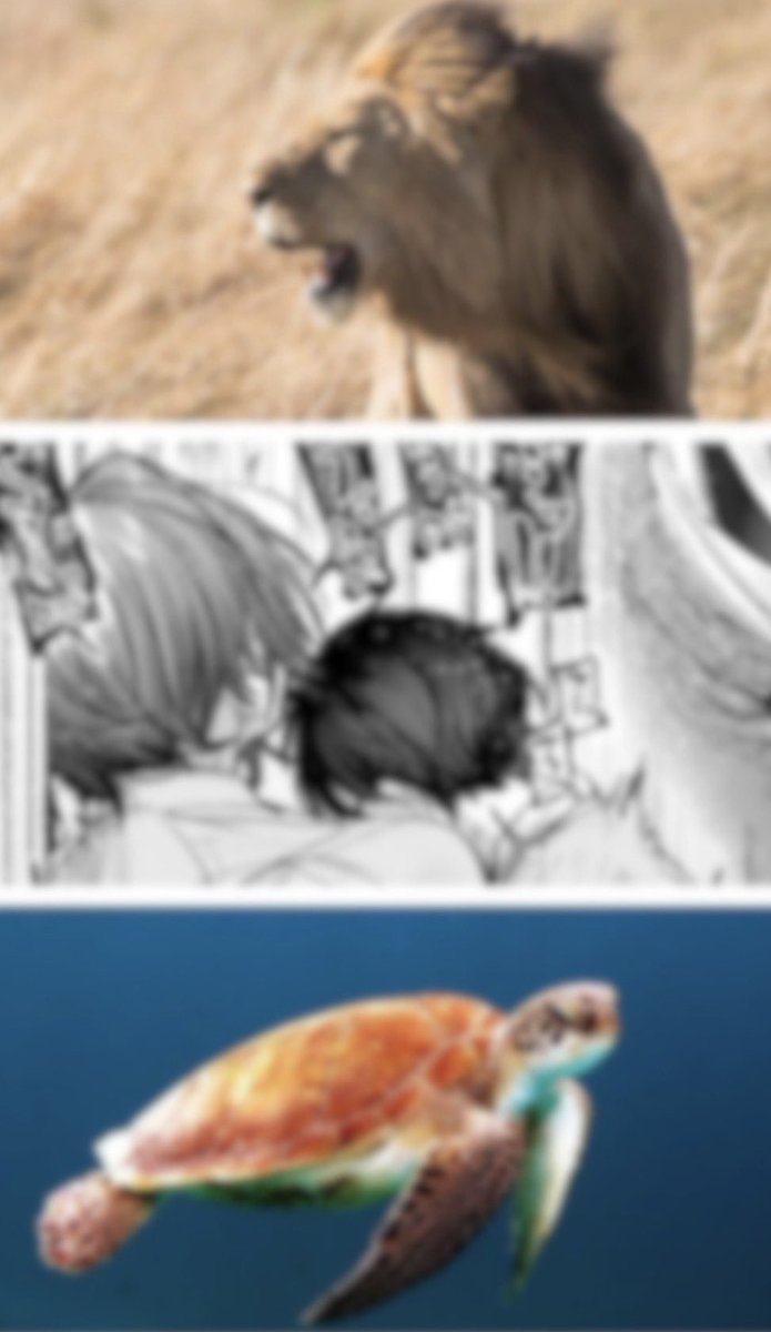 MalikDa00763245's tweet photo. 後先考えなかった結果

1/6 SFW https://t.co/wWq7mp99hY