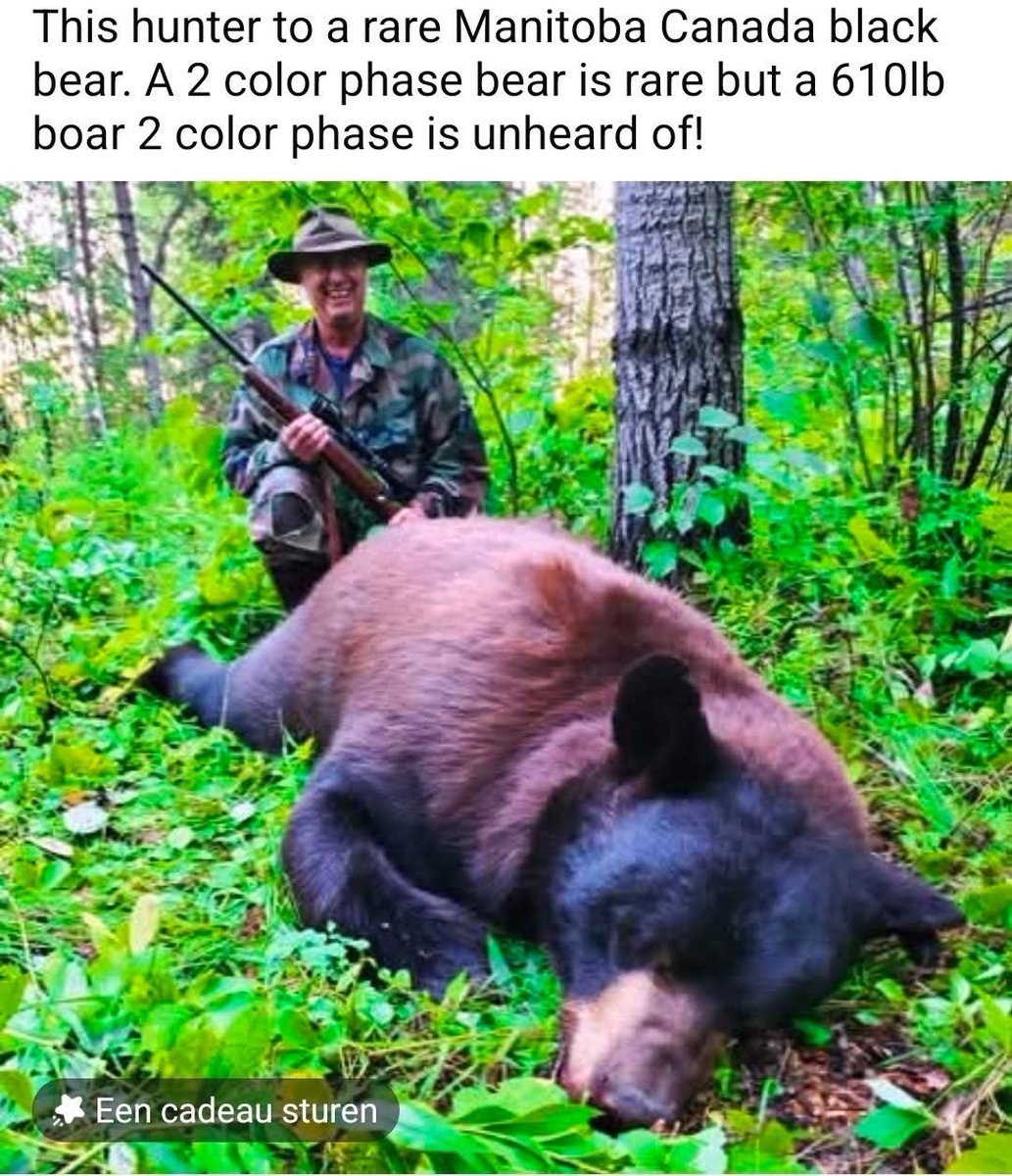 PROTECT ALL WILDLIFE tweet media