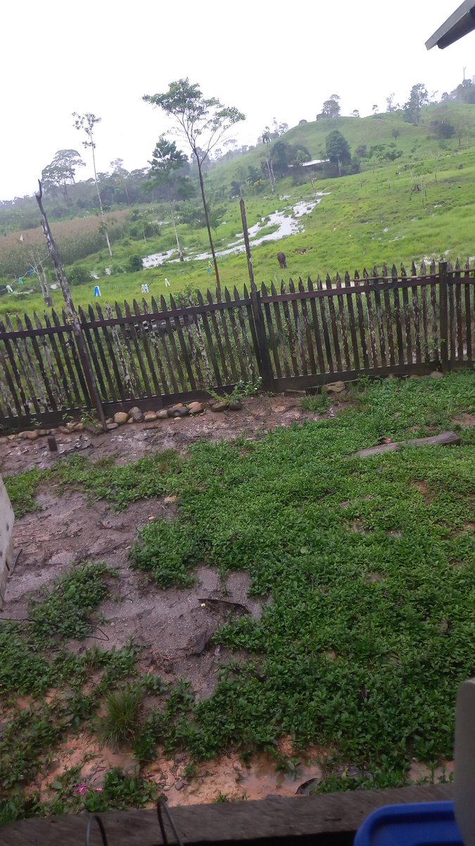 Sebasti69683148's tweet photo. @itsD3lay Nose bro la parte de peru donde yo vivo se ve así https://t.co/hMDWTTvoCv