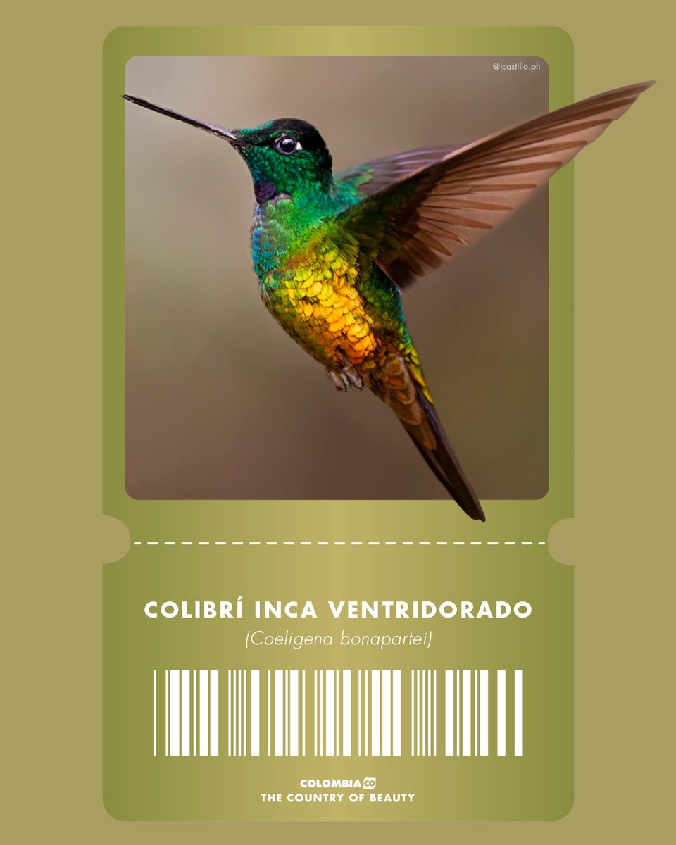 Colombia Travel tweet media
