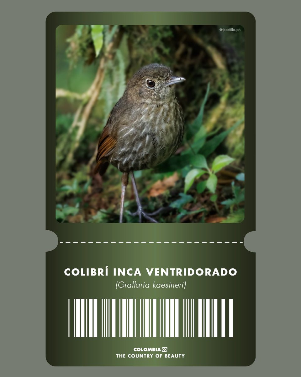 Colombia Travel tweet media