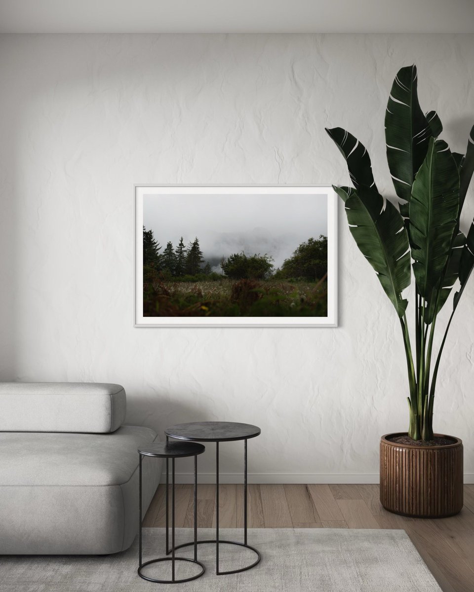 ANatureFrame's tweet photo. Grounding the room with the muted, heavy tones of this misty spring meadow to anchor your Saturday evening unwind. 
#photography #art #decoration #print #wallart #cozy https://t.co/0XppNos57z