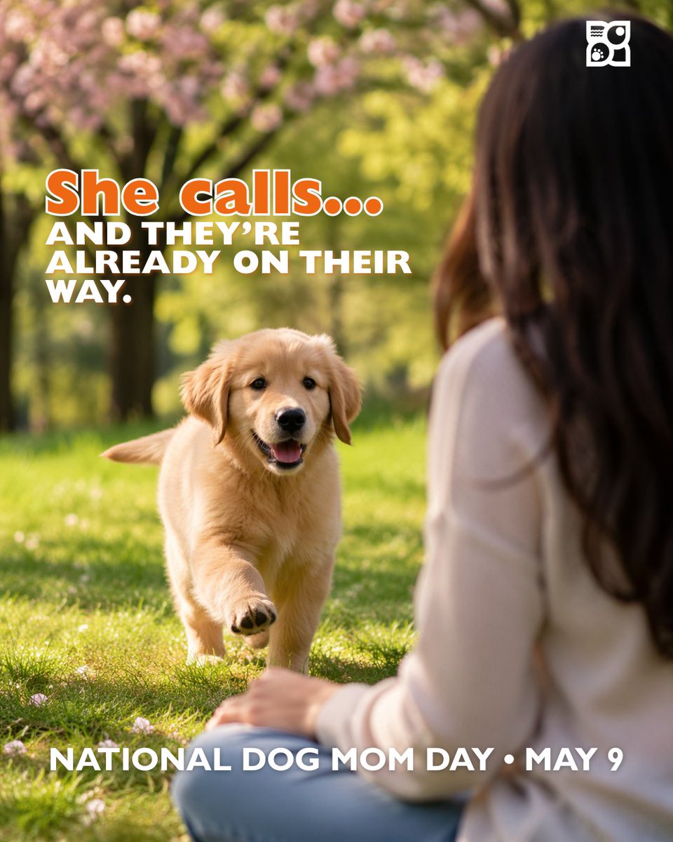 PetlandLC's tweet photo. She calls… and they’re already on their way. 🐾

#DogMomDay https://t.co/1BMLllvvxL