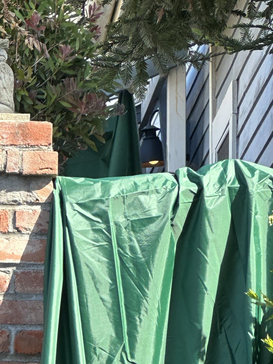 Your Own Backyard Podcast tweet media