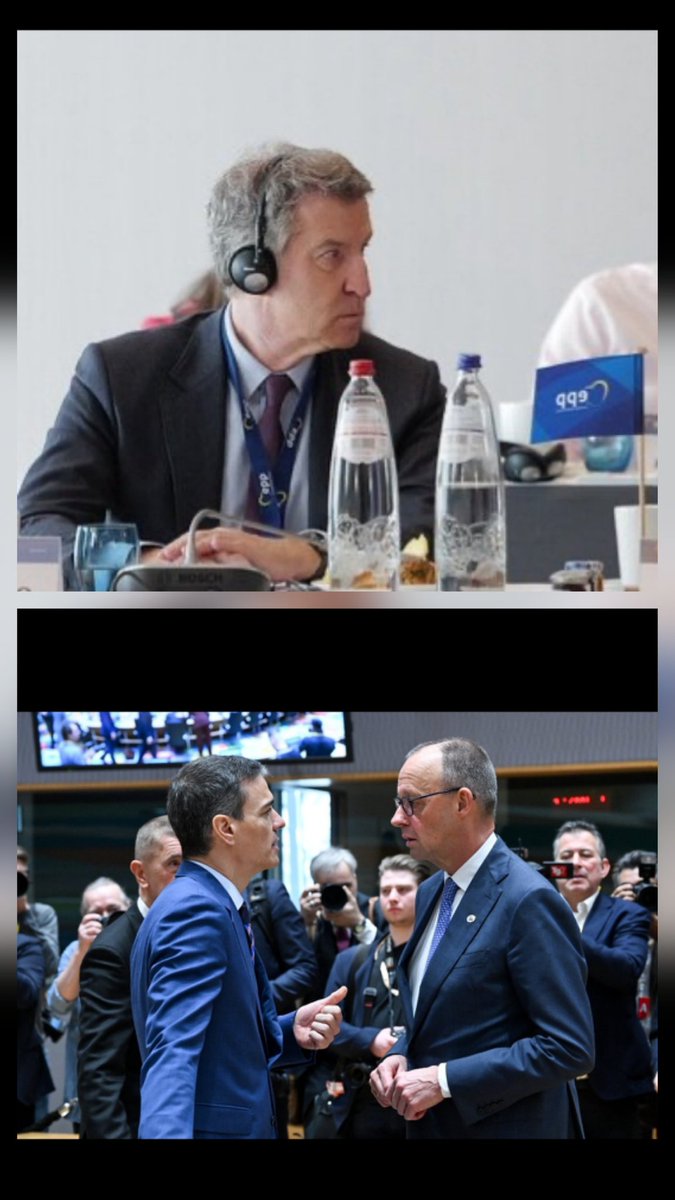 Mallorcrazy tweet media