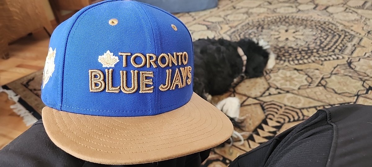 _bigTOONA's tweet photo. @BlueJays @NewEraCanada @NewEraCap https://t.co/PlzBQ2Mvwv