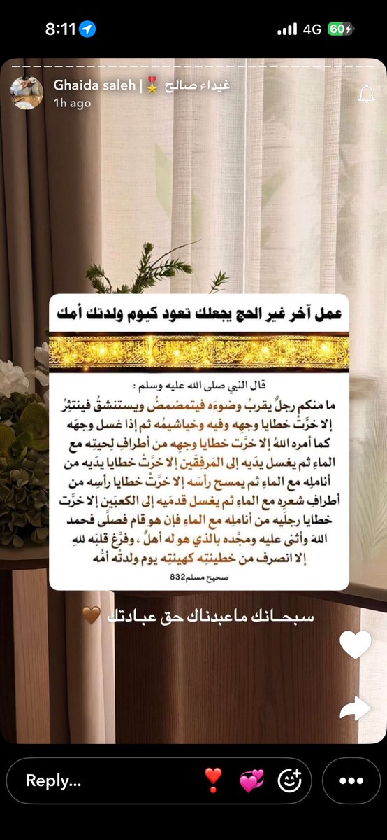 🪻 tweet media