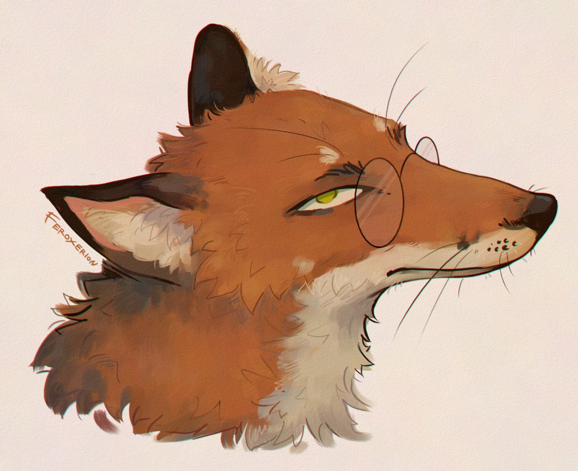 #fox #redfox #anthro #furryartwork #fursona