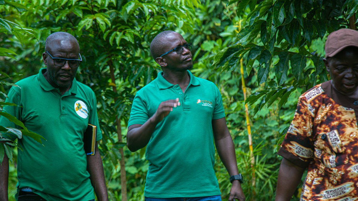Uganda Timber Growers Association tweet media