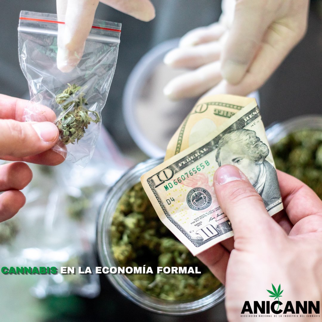 anicannmx's tweet photo. Cannabis dejó de ser un tema marginal y se convirtió en una industria real: genera empleo, inversión, innovación agrícola, desarrollo farmacéutico y recaudación fiscal. Cuando un mercado mueve miles de millones, ignorarlo ya no es política pública, es atraso económico. https://t.co/M9uaStL9gW