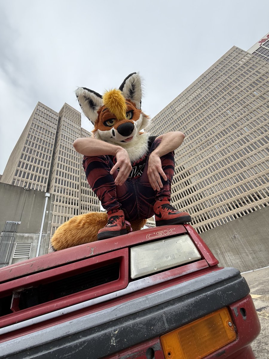 ShadowFox tweet media