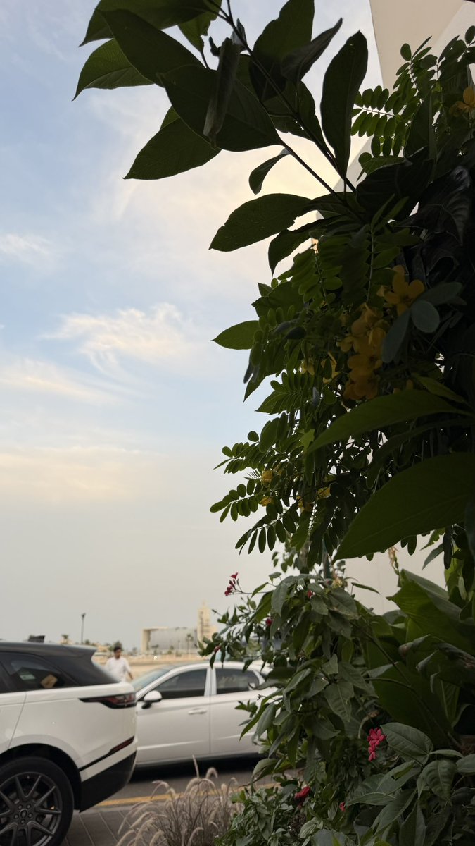WA_0020's tweet photo. ادمنت https://t.co/BUpu0fvmUs