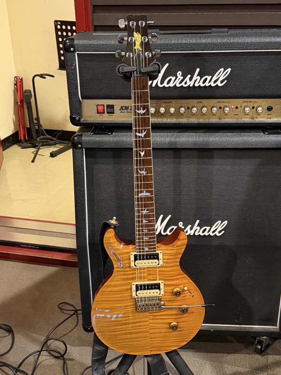 試し弾きしましたでやんす。
#prs