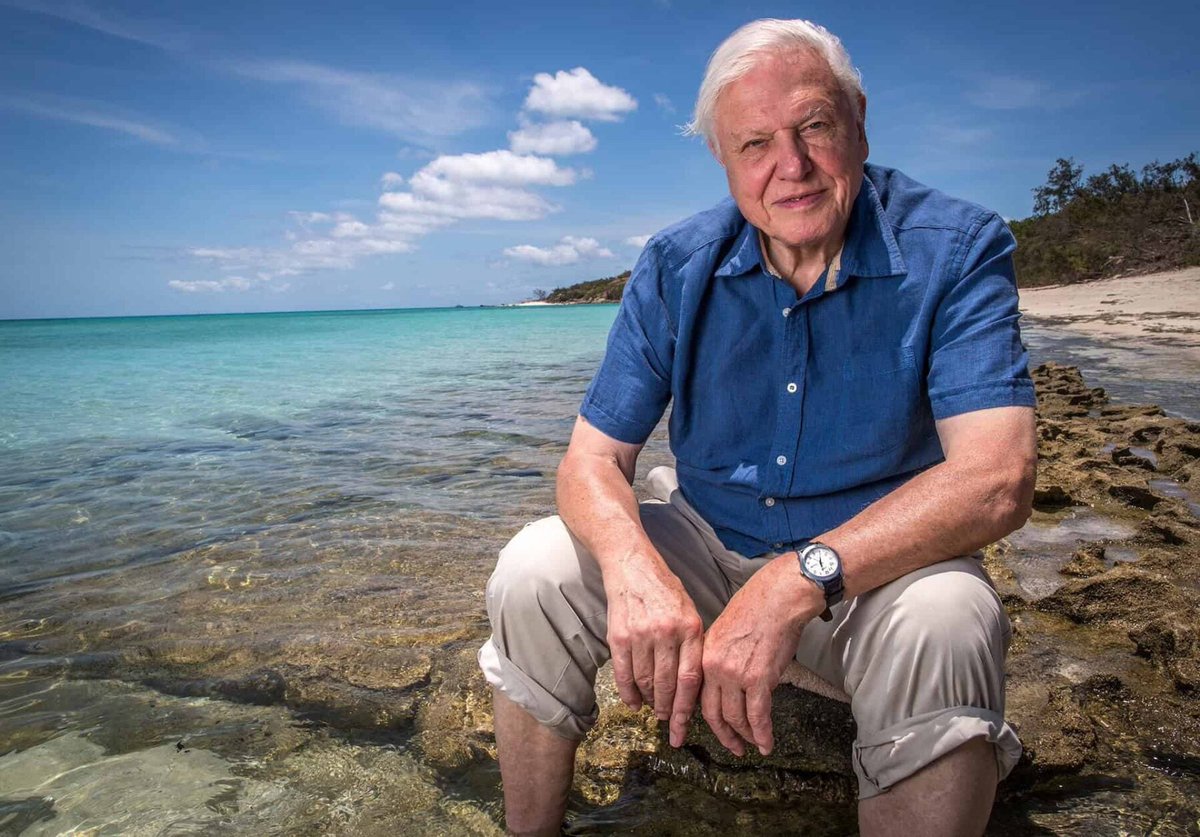 MukopiMichael's tweet photo. You have laid a foundation of Earth's knowledge and evidence that will transcend your life. You have modeled the earths flora and fauna in a composite wisdom that is golden. You made earth a better place than you found it.
Live long uncle Savvy! https://t.co/MANjvULTPX