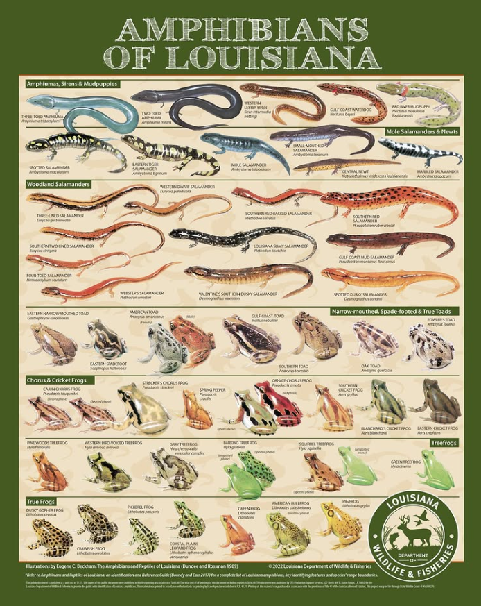 LaWildlife&Fisheries tweet media