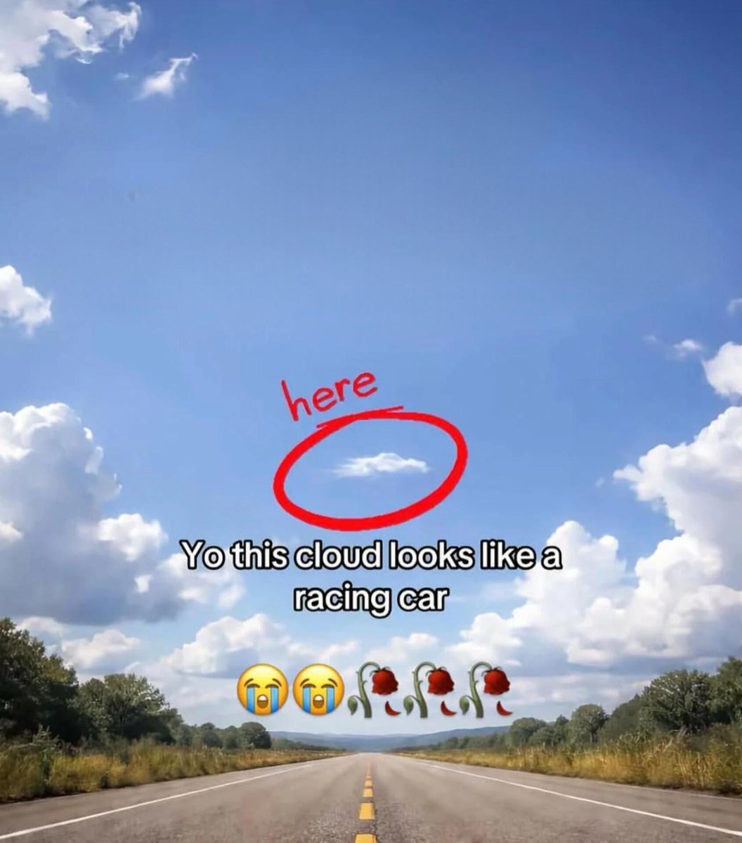 literal memes tweet media