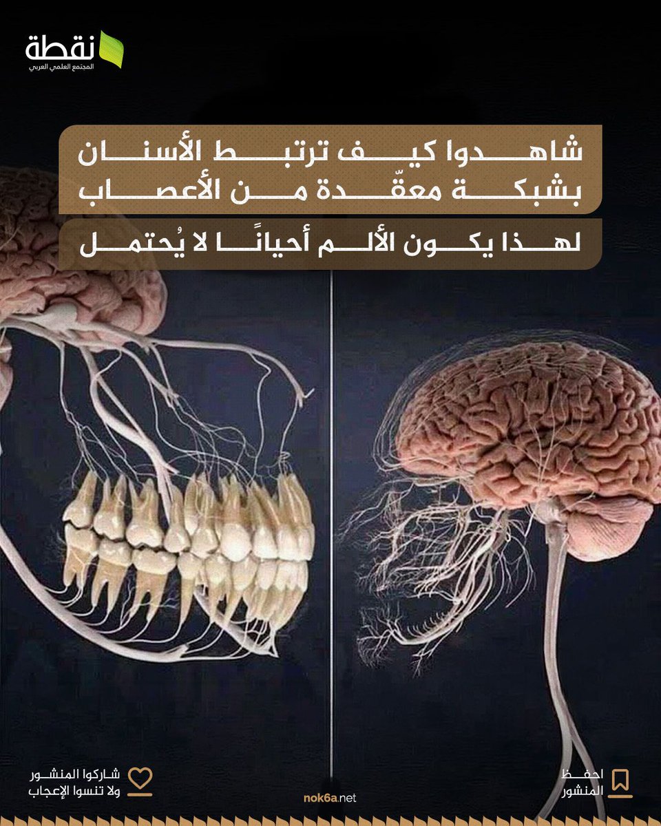 مجلة نقطة العلمية | Science tweet media