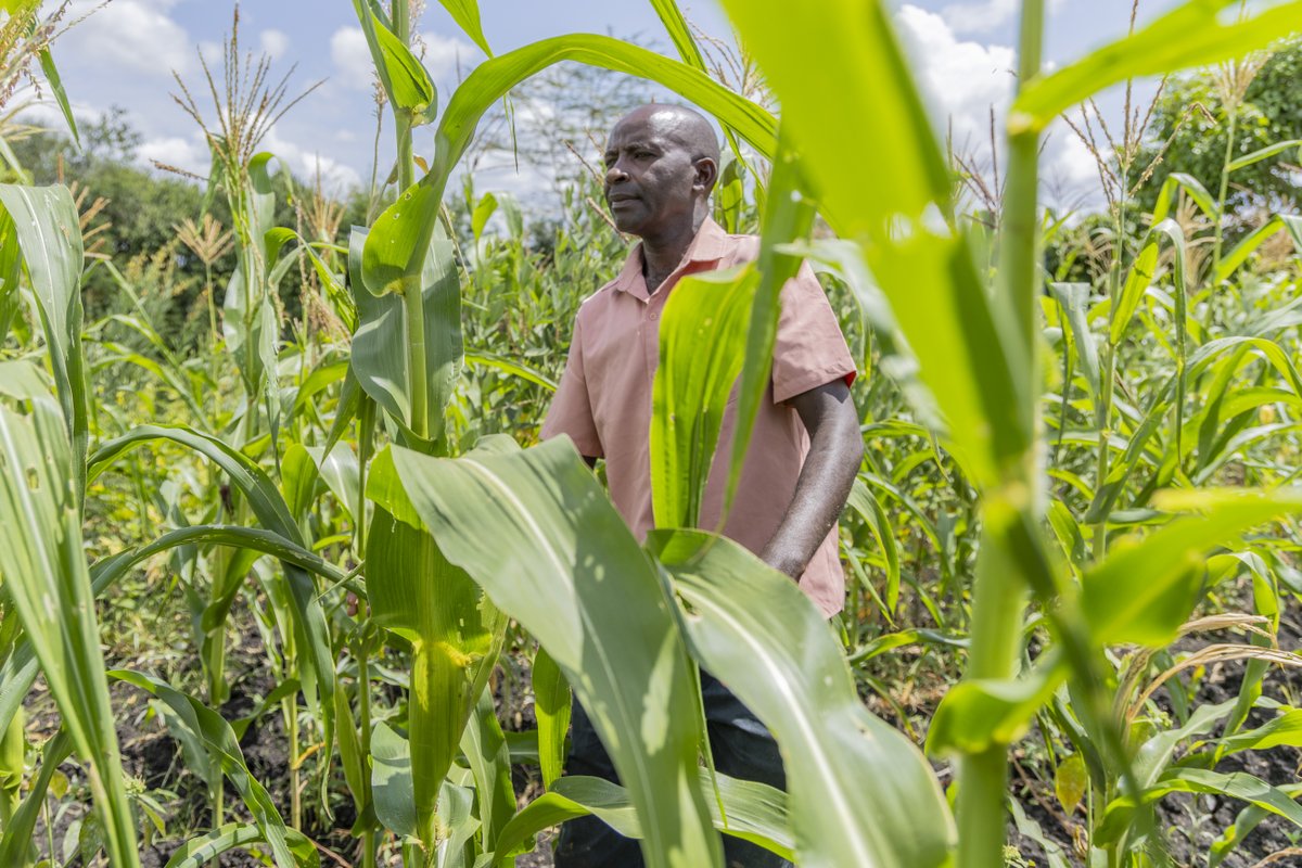 WBG_ClimateEnv's tweet photo. Africa’s food import bill has more than tripled in recent decades. Population growth, weak supply chains, and climate pressures are key drivers. #WBGAgriConnect is a holistic response—focused on results, scale, and markets.
Read more from 👉 https://t.co/xiQsbyq8pJ https://t.co/cbrX94ivqF