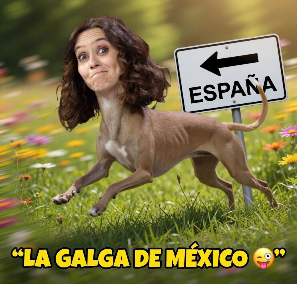 Raúl tweet media
