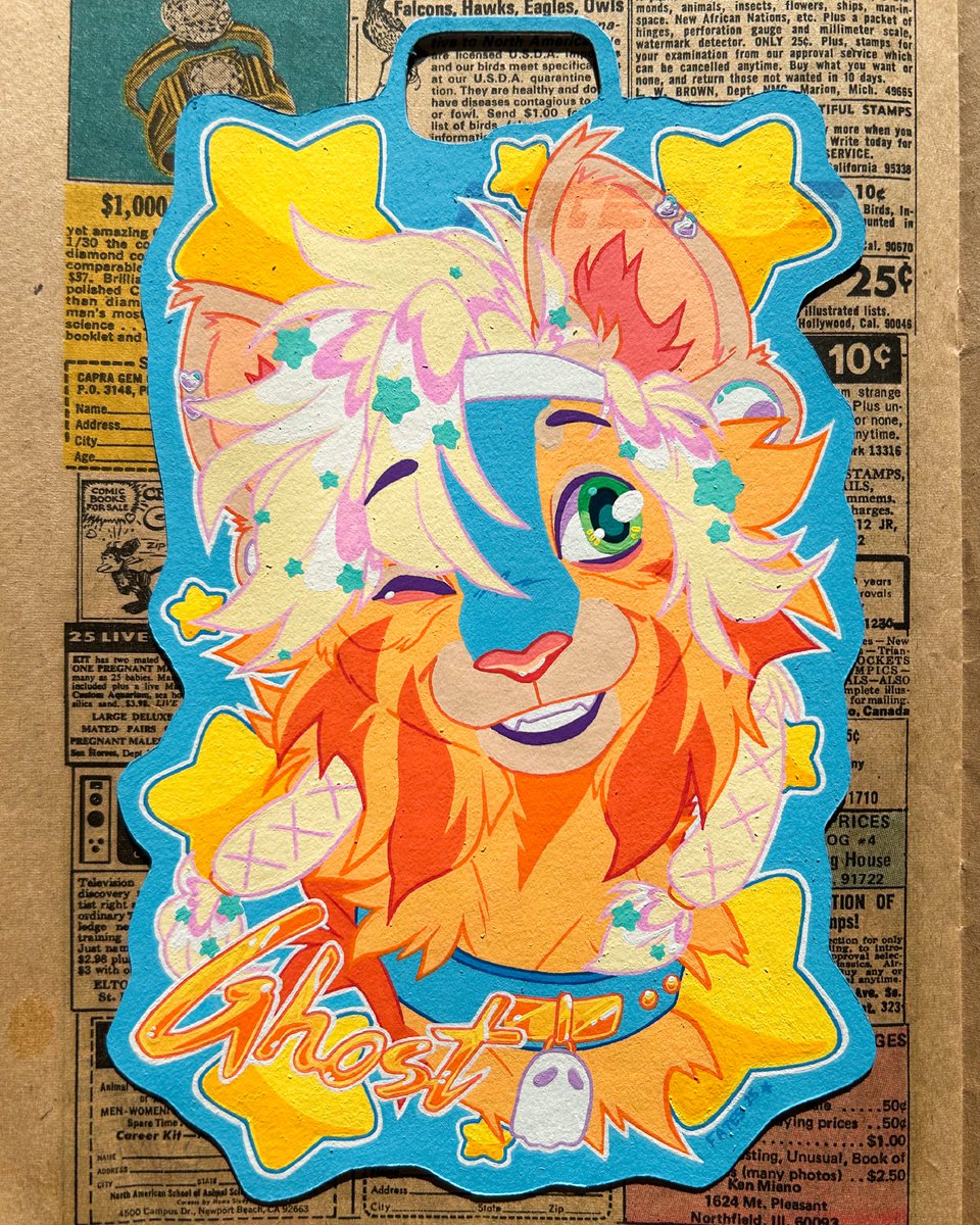 ✶ 𝖛𝖎𝖙𝖆 ✶ tweet media