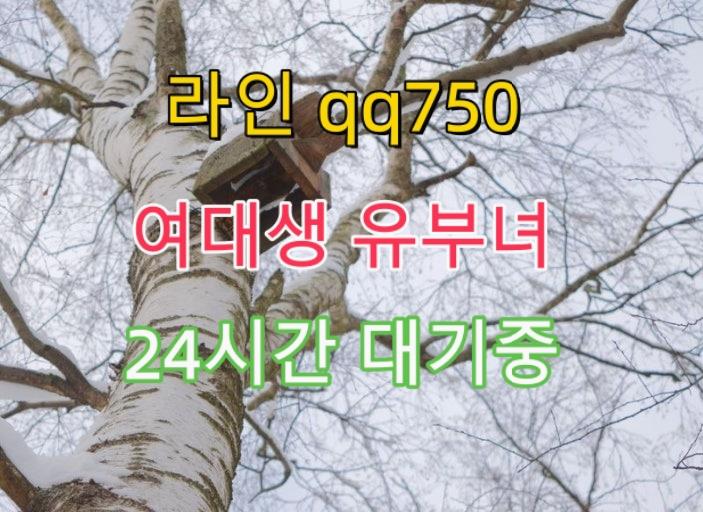 DMarshall69478's tweet photo. 🍀 🚩 🍄 #서울 #만남 #오프 https://t.co/1UlHxd9zNk