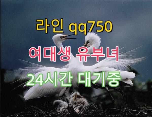 DMarshall69478's tweet photo. 🍀 💐 🍀 #대전 #만남 #오프 https://t.co/HkrrgP4oiX