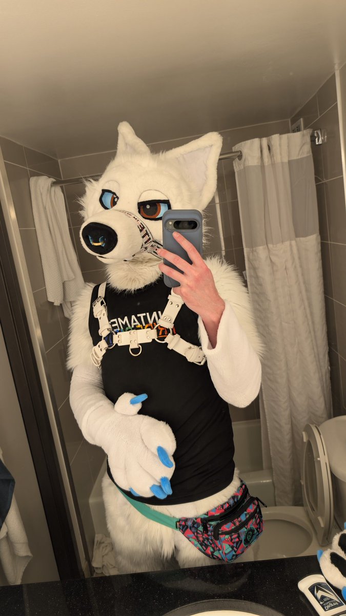🐺 Frosty 🔜 FWA tweet media