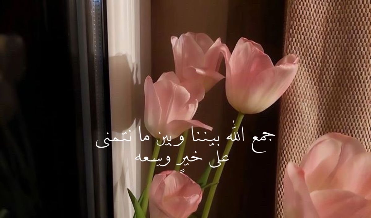 4. (@4c7i1) on Twitter photo 