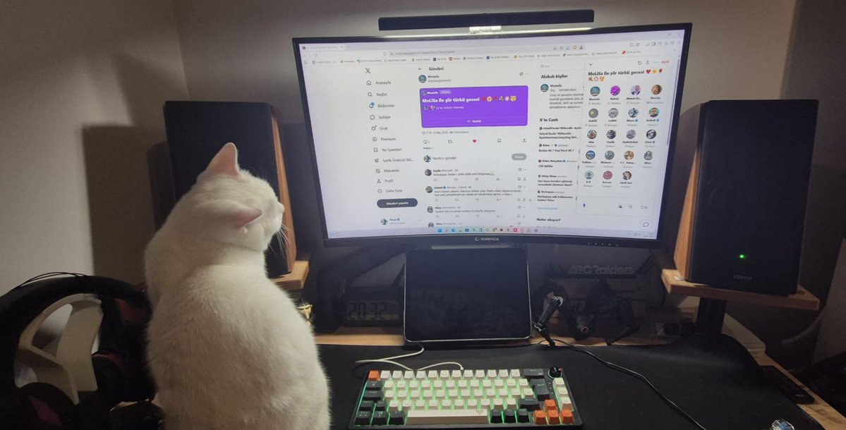 Maxe tweet media