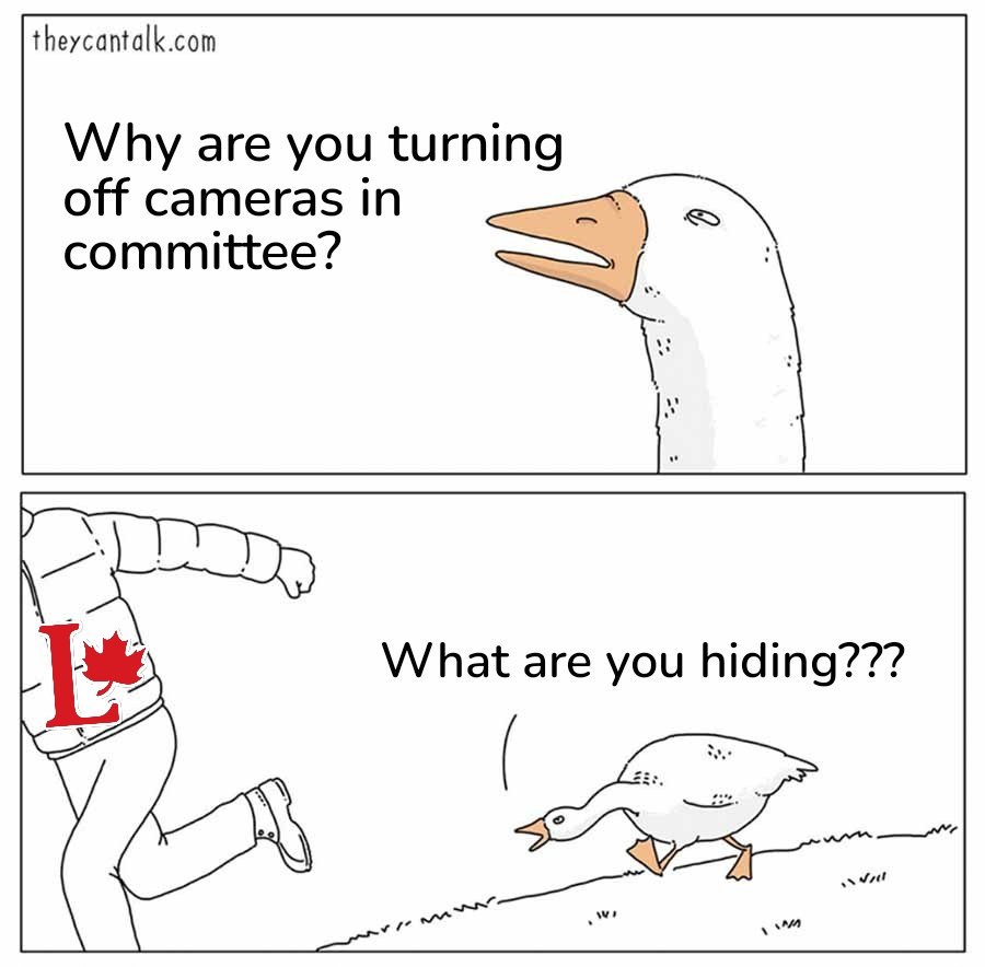 Trolling.Canuck tweet media