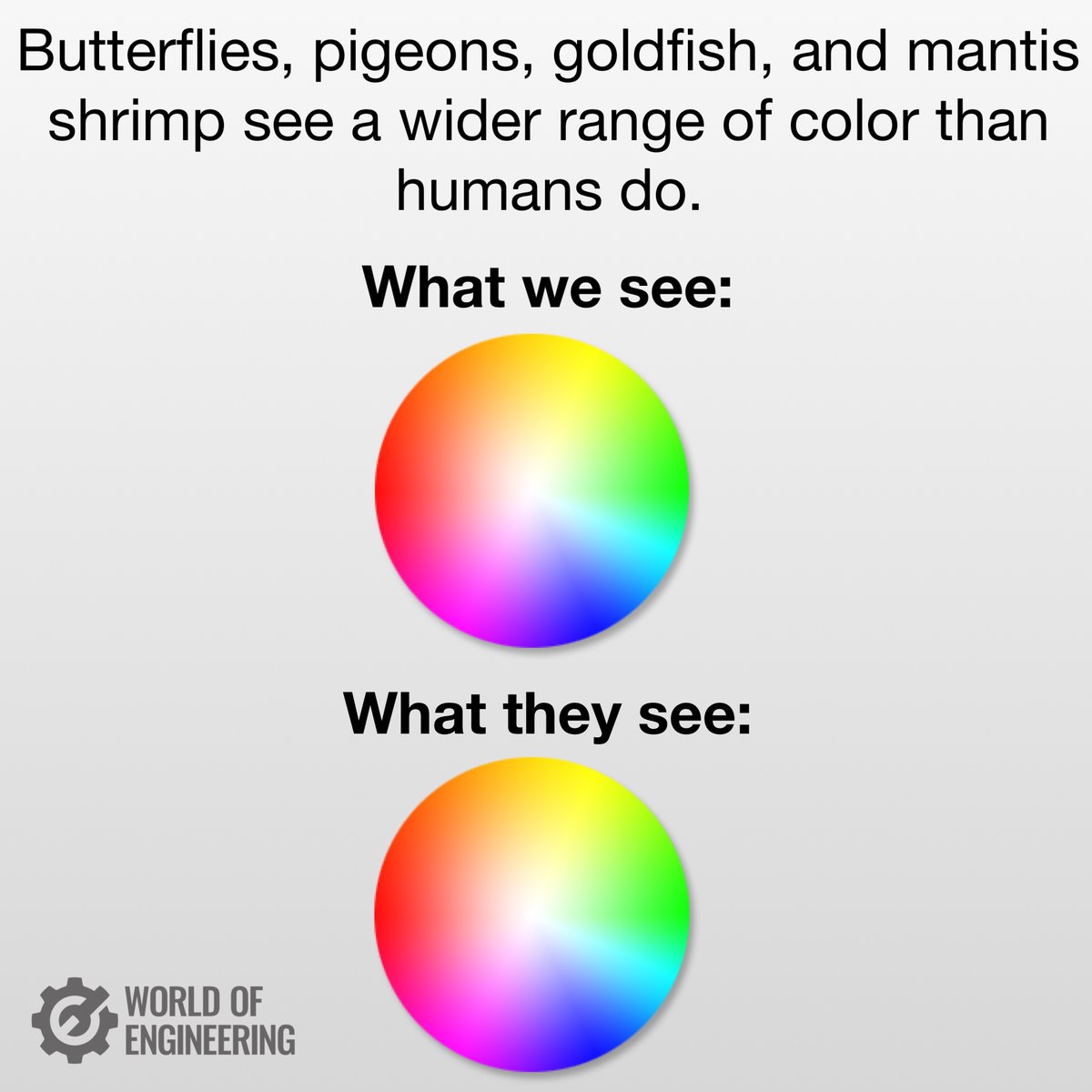 engineers_feed's tweet photo. Science https://t.co/8VPdDFvpOb