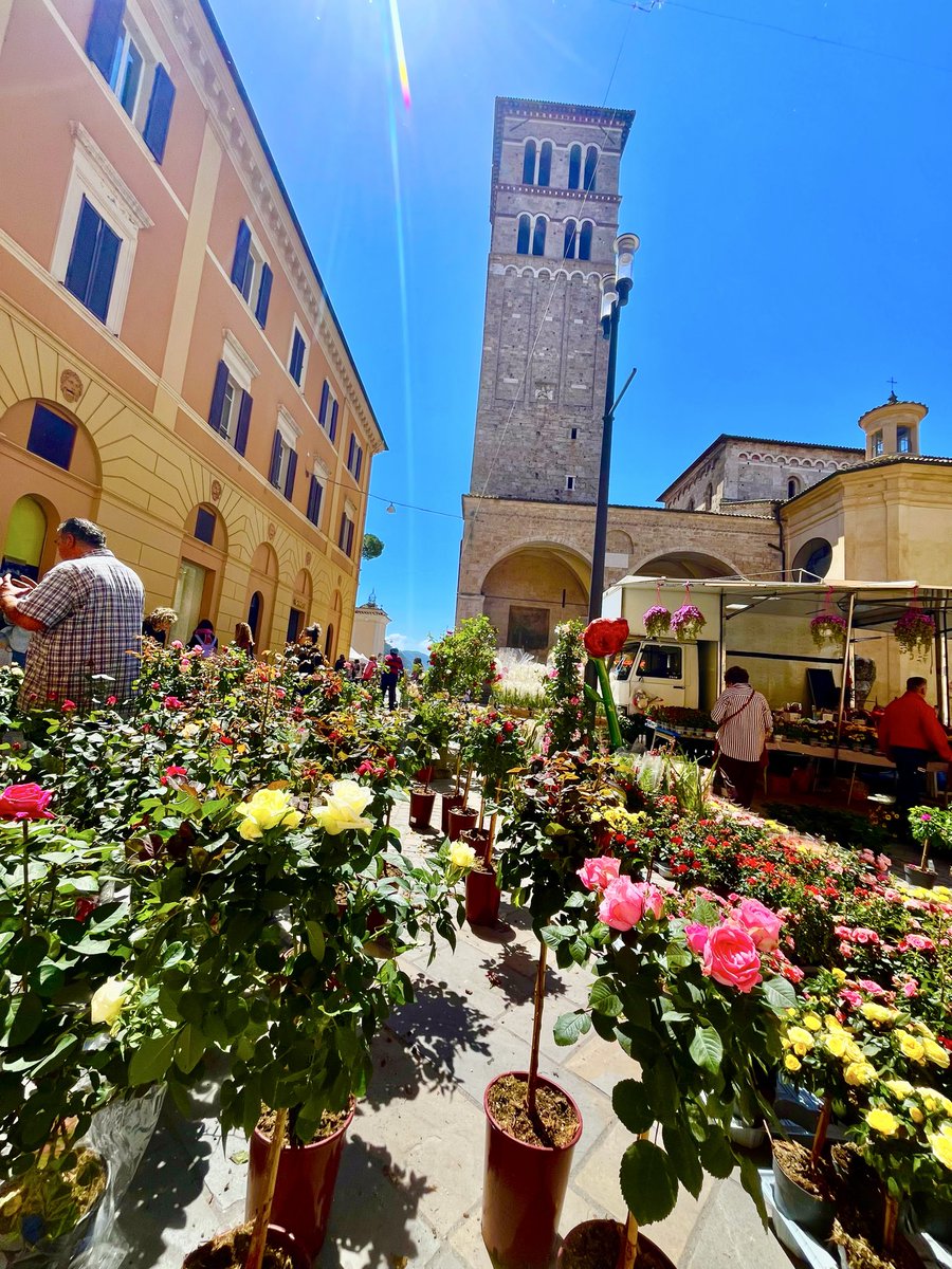 marpetre's tweet photo. Inaugurati a Morro Reatino i lavori per il ripristino dell'habitat dell'Ululone appenninico.
Insieme al Sindaco, alla @RegioneLazio, associazioni promotrici e alle autorità militati della zona La giornata è proseguita tra i colori e i profumi di Rieti in Fiore.
#Sabina #Rieti https://t.co/qmvOaWI2Go