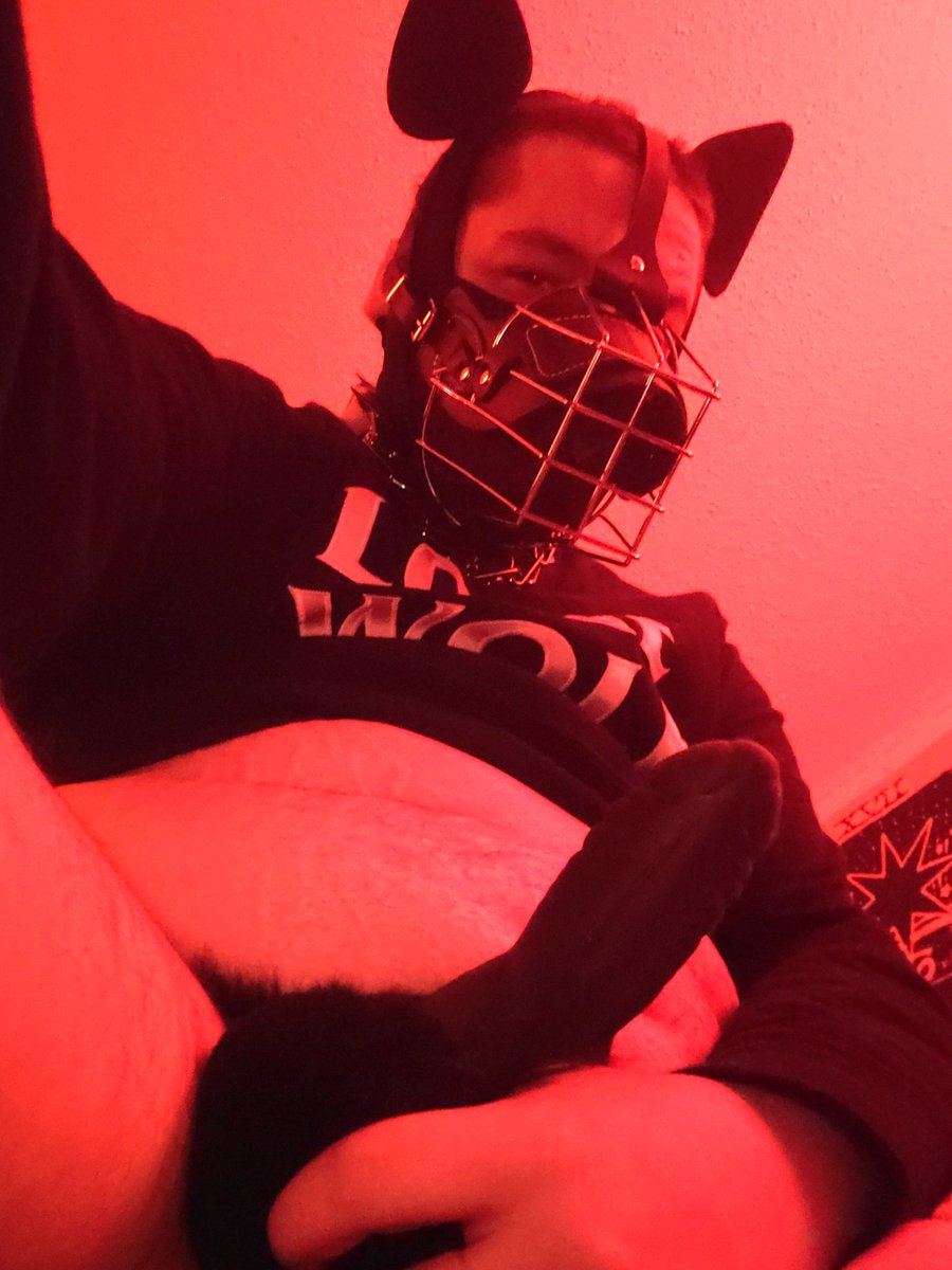 beardogweed's tweet photo. hey

did you miss me? https://t.co/AKjlmgfbCs