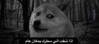 عبدالرحمن tweet media