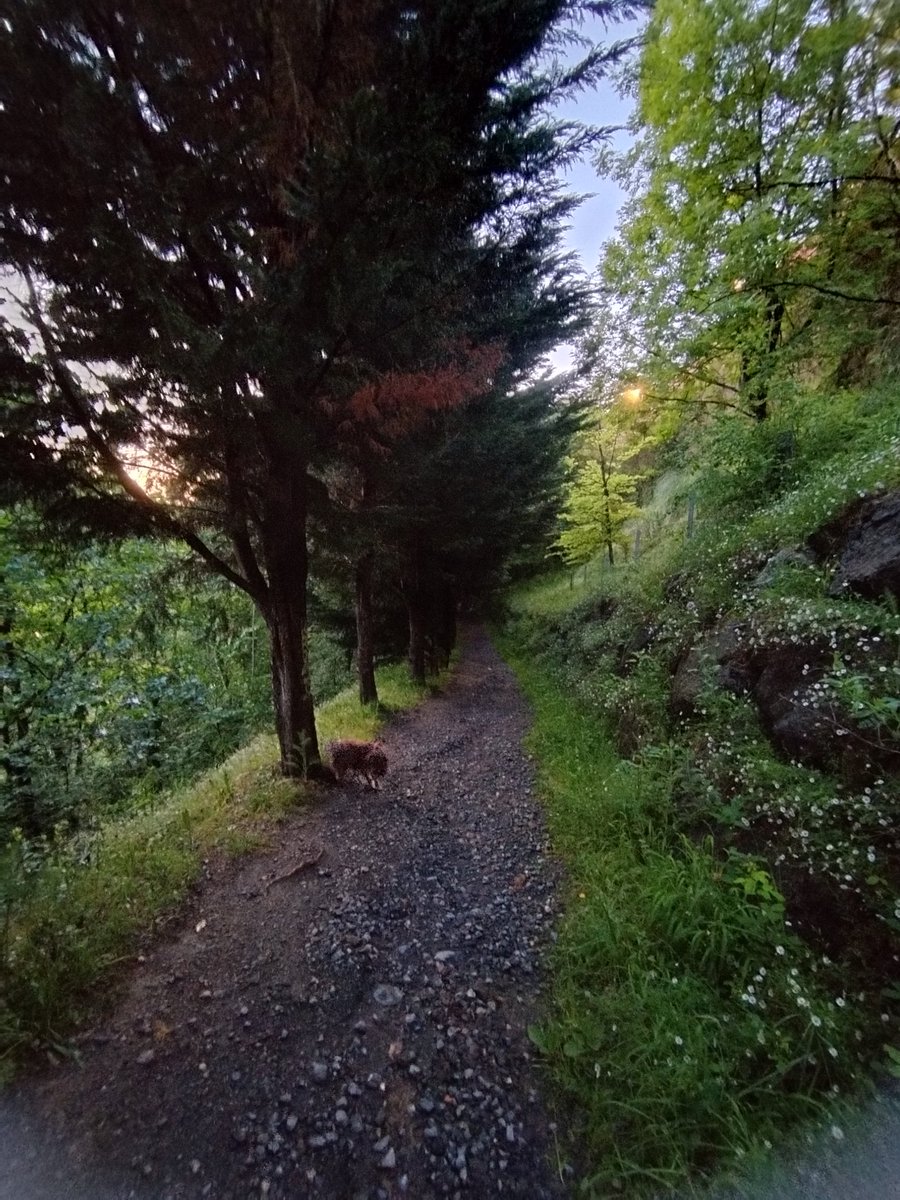 Mentachocolat13's tweet photo. No te cambio por NADA. 🫠
#EuskalHerria 🌳🧘🏼♀️🌊
#Orgullo🥰
#EnVena ♥️🤍💚 https://t.co/3QcQbViVl7
