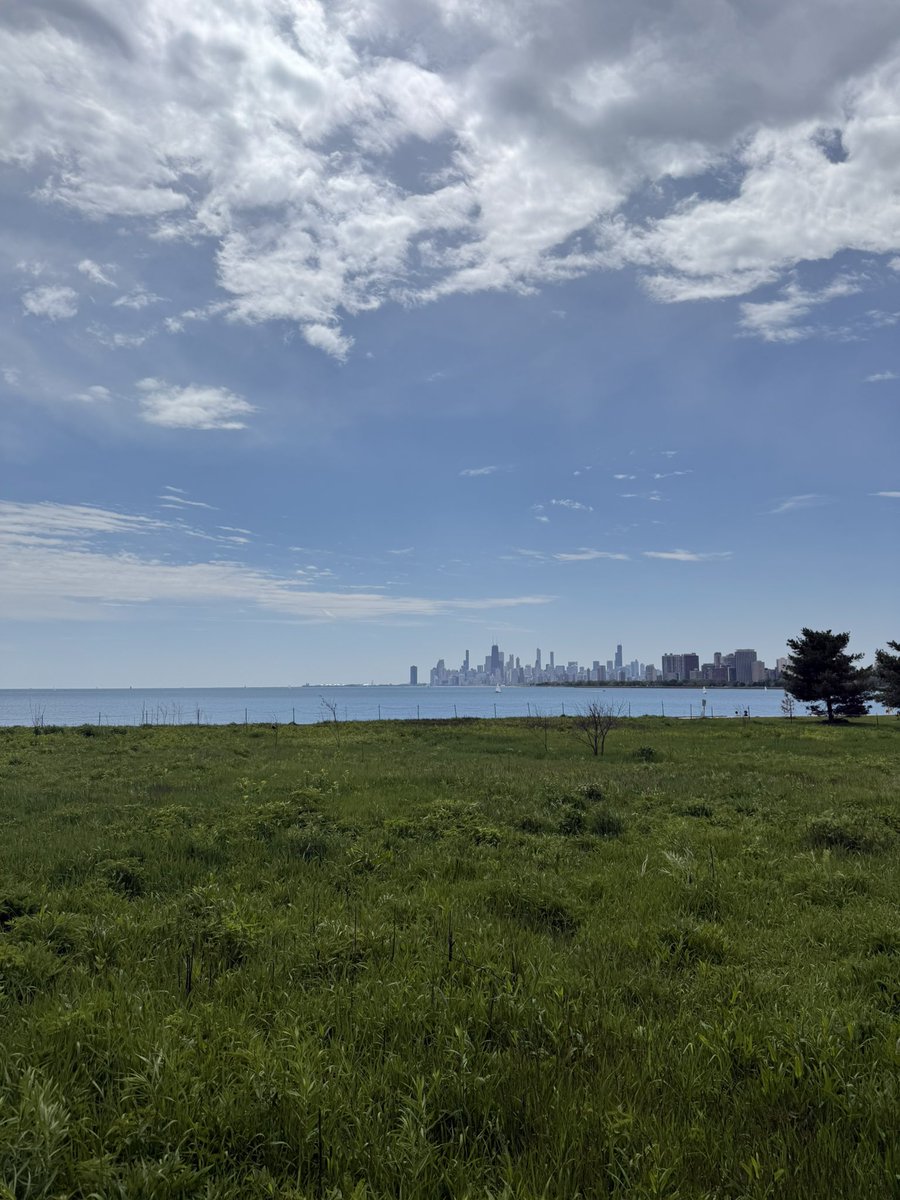 emonikolatesla's tweet photo. Gorgeous Chicago Saturday featuring the Warbler who has eluded me until today https://t.co/T2SS4RZZIF