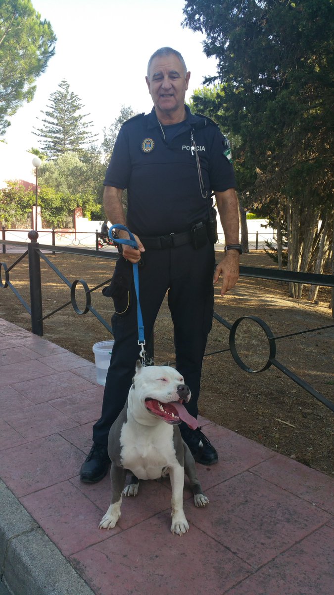 jst115722's tweet photo. “Siempre tuve especial sensibilidad por localizar perros extraviados durante mi etapa como Policía Local.
Ver la tranquilidad de sus dueños cuando aparecían era una de las mejores partes del servicio. 🐾👮‍♂️” https://t.co/56JBUxl2YI